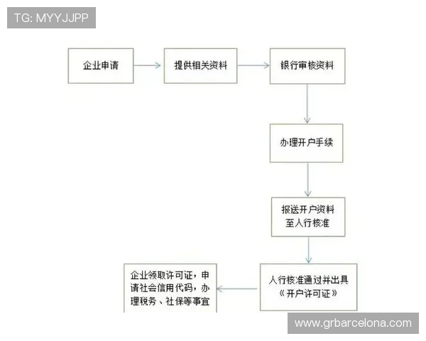 AG现金开户流程详解助你轻松开启高收益游戏体验
