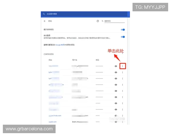 详细解析ag视讯网址的安全措施，确保每位玩家的账户信息安全